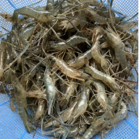 05. Креветки 20шт. 冰虾